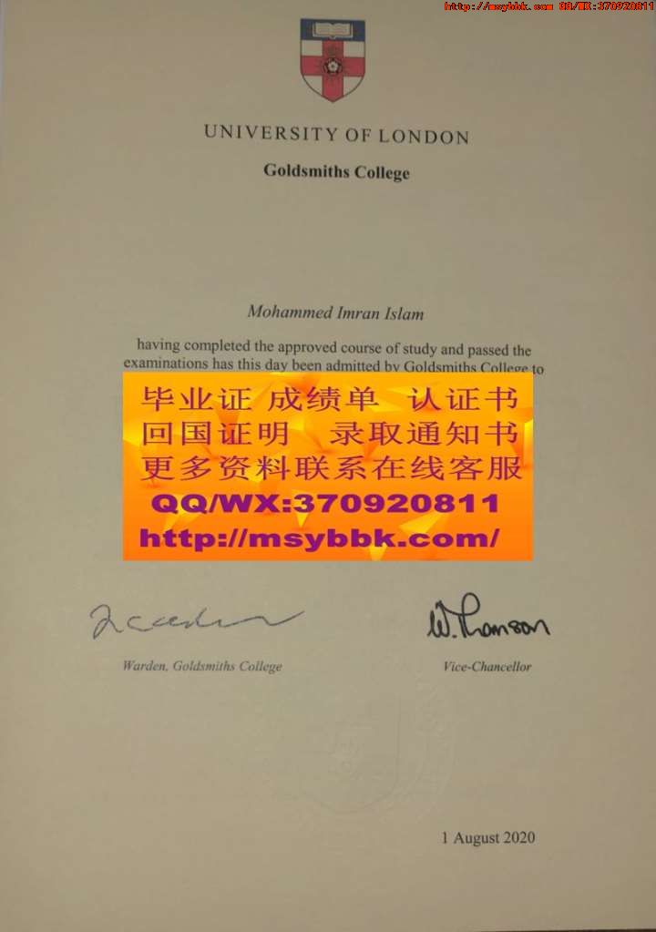 埃朗根-纽伦堡大学毕业证样式