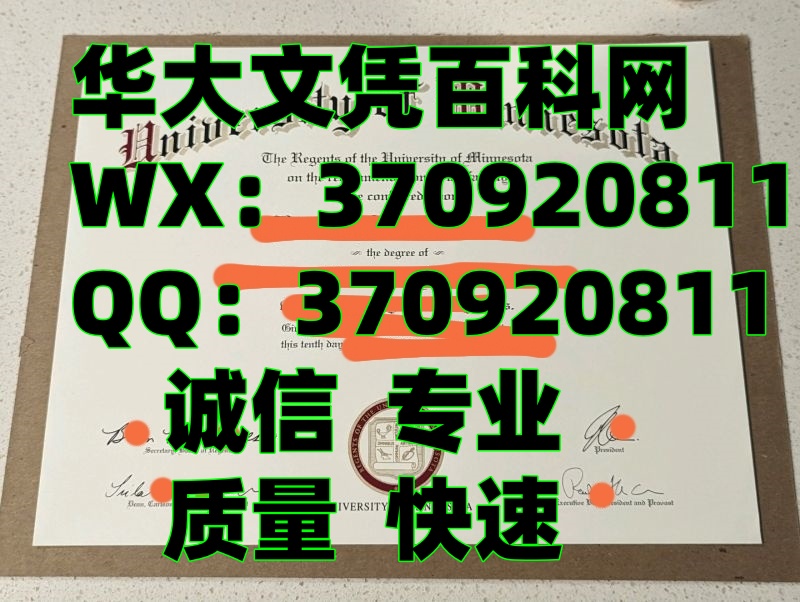 美国diploma,明尼苏达大学双城分校毕业证书展示