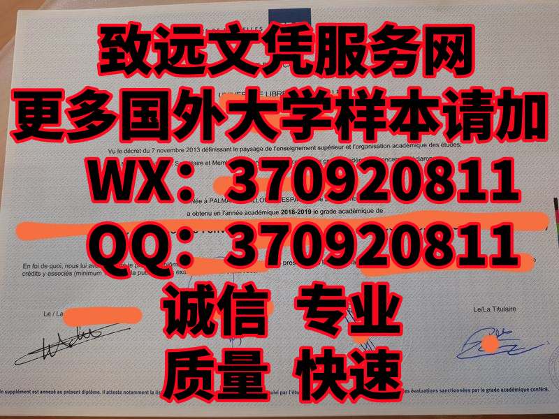 全新比利时布鲁塞尔自由大学毕业证书原版展示